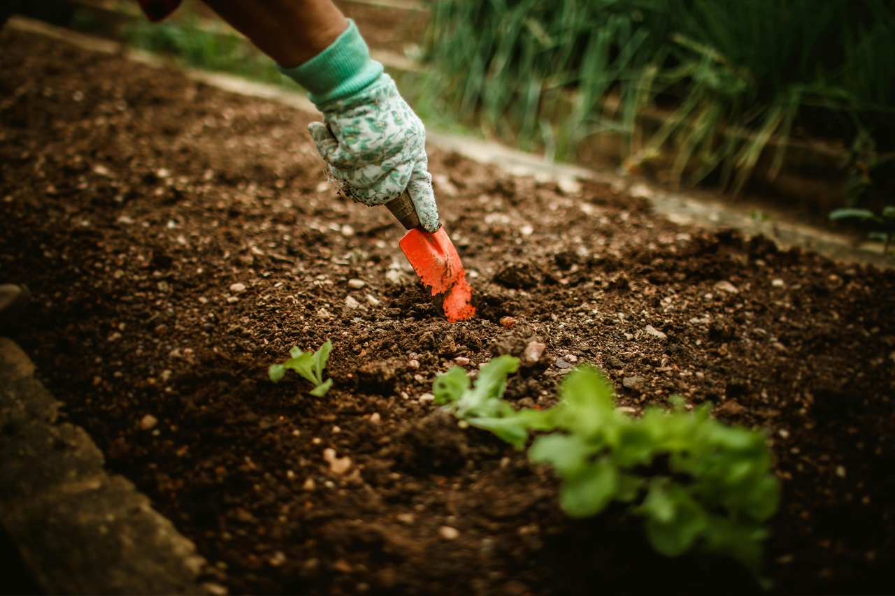Agriculture